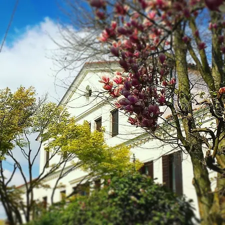 Grimani Villa *
